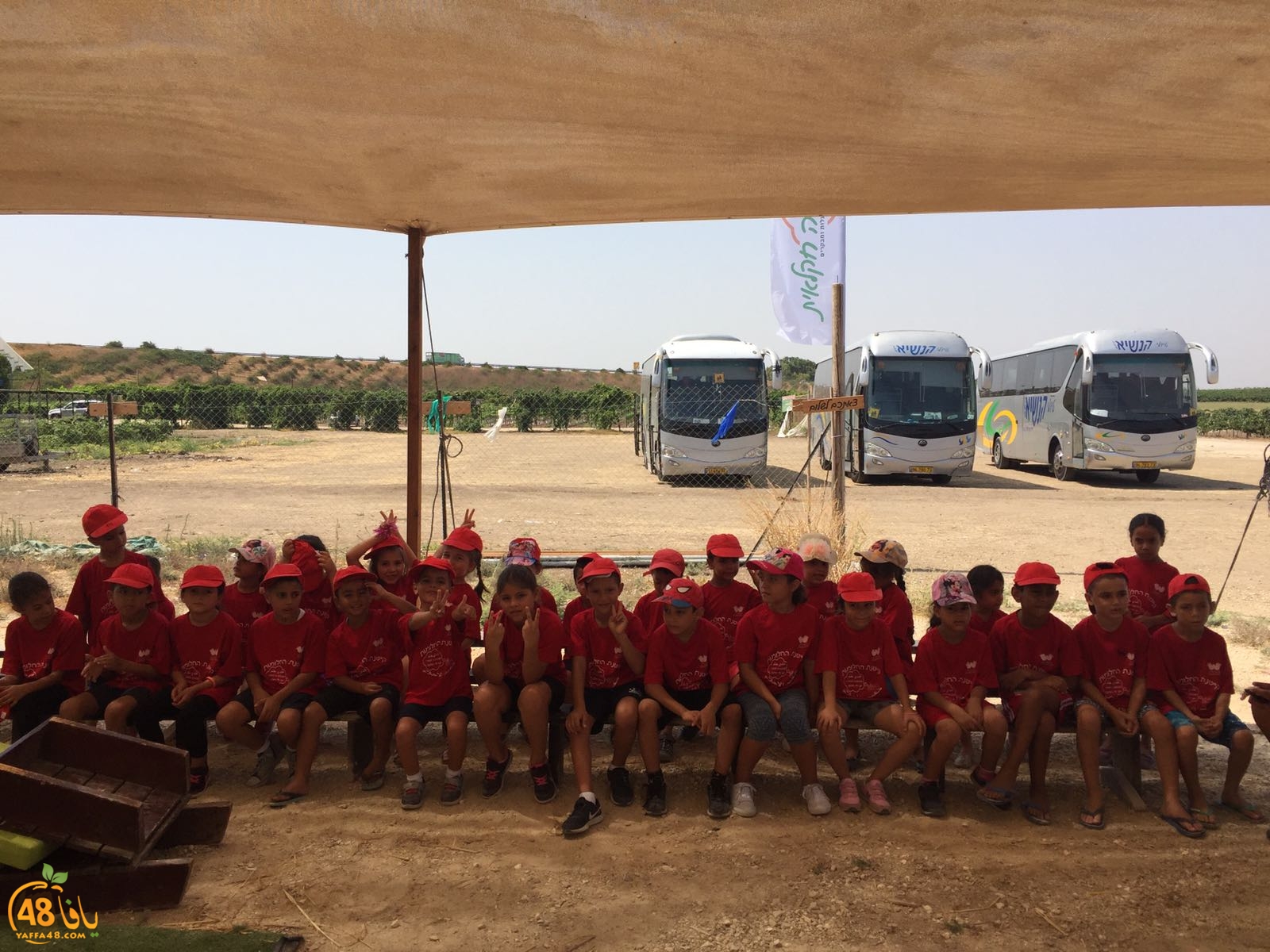 f3alayat saayf (21).jpeg